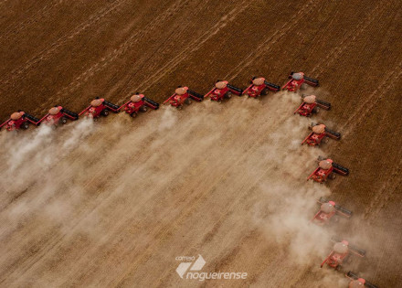 embrapa-brasil-sera-maior-exportador-de-graos-do-mundo-em-cinco-anos-correio-nogueirense