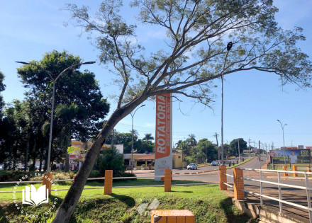 meio-ambiente-de-engenheiro-coelho-realiza-poda-corretiva-em-arvores-para-evitar-quedas-correio-nogueirense