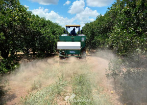 agricultor-aumenta-produtividade-em-14-apos-aderir-a-campanha-da-calagem-em-artur-nogueira-correio-nogueirense-capa