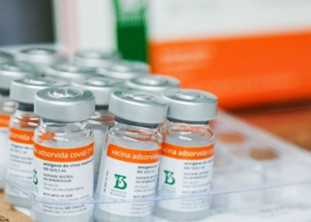 coronavac-estudo-confirma-seguranca-da-vacina-correio-nogueirense