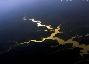 floresta-211016ebc0489