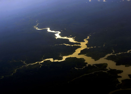 floresta-211016ebc0489