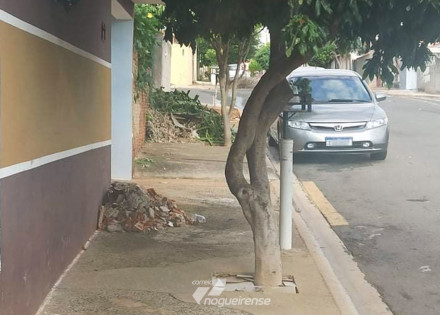 moradores-de-artur-nogueira-reclamam-da-demora-no-atendimento-de-chamados-para-retiradas-de-galhos-e-entulhos-correio-nogueirense