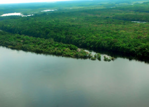 plano-do-governo-apresenta-metas-para-reduzir-desmatamento-na-amazonia-correio-nogueirense