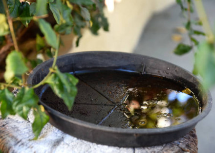 thumbnail_istockphoto-1216429917-612x612