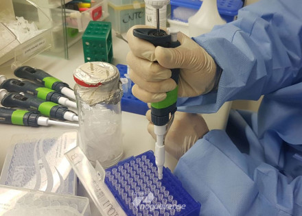 vacina-da-fiocruz-minas-e-ufmg-avanca-em-testes-de-laboratorio-correio-nogueirense