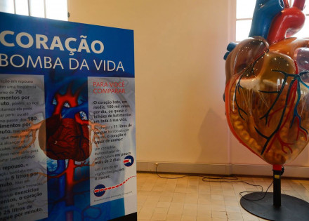 doenca-cardiovascular-e-principal-causa-de-morte-de-mulheres-no-mundo-correio-nogueirense