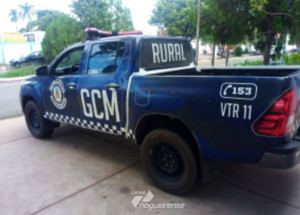 homem-e-preso-em-flagrante-por-gato-de-agua-em-artur-nogueira-correio-nogueirense