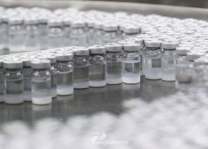 omc-faz-apelo-por-negociacoes-sobre-patentes-de-vacinas-da-covid-19-correio-nogueirense