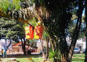 prefeitura-realiza-poda-de-arvores-em-pracas-e-espacos-culturais-de-artur-nogueira-correio-nogueirense