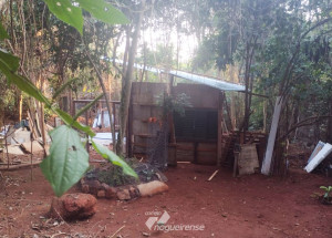 policia-municipal-flagra-casa-em-area-de-preservacao-permanente-em-artur-nogueira-correio-nogueirense-capa