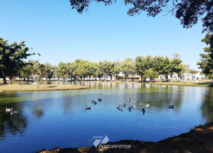 prefeitura-de-artur-nogueira-mobiliza-redes-sociais-em-campanha-quemamapreserva-correio-nogueirense