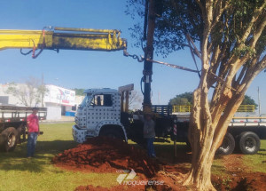 secretaria-de-meio-ambiente-e-cultura-se-unem-para-plantar-arvores-frutiferas-em-artur-nogueira-correio-nogueirense-capa