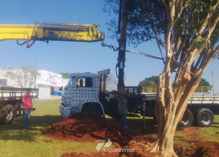 secretaria-de-meio-ambiente-e-cultura-se-unem-para-plantar-arvores-frutiferas-em-artur-nogueira-correio-nogueirense-capa