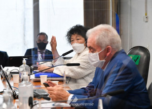 senadores-avaliam-depoimento-da-medica-nise-yamaguchi-a-cpi-correio-nogueirense