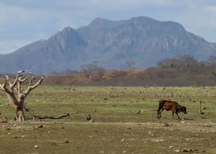 2021-07-02t130321z_1299016617_rc2abo9bldto_rtrmadp_3_mexico-weather-drought