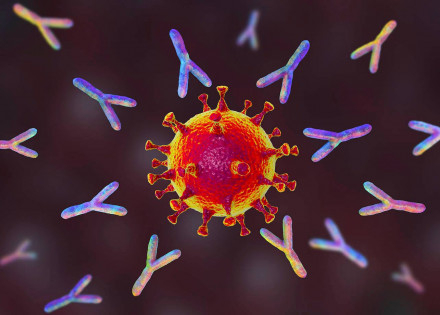 GettyImages-1227506794