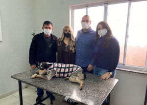 animais-de-moradores-em-situacao-de-rua-ganham-atendimento-veterinario-em-artur-nogueira-correio-nogueirense