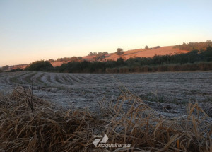 com-queda-na-temperatura-moradores-de-artur-nogueira-registram-frio-e-geada-nesta-quinta-feira-correio-nogueirense-capa]