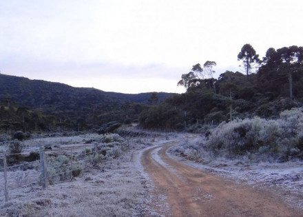 santa_catarina_geada