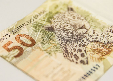 Moeda Nacional, Real, Dinheiro, notas de real