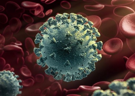 _116191172_gettyimages-1212213051