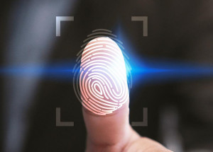 WhatsApp Image 2021-09-20 at 13.43.31