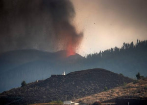 WhatsApp Image 2021-09-21 at 08.50.24