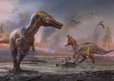 WhatsApp Image 2021-09-29 at 09.07.13