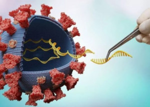 captura-de-tela-2021-09-10-161720