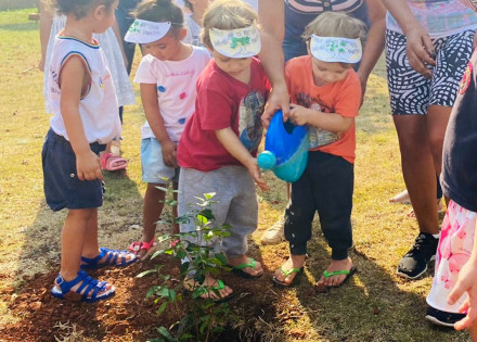 dia-da-arvore-criancas-ajudam-a-plantar-36-mudas-de-pitanga-nas-escolas-de-artur-nogueira-correio-nogueirense