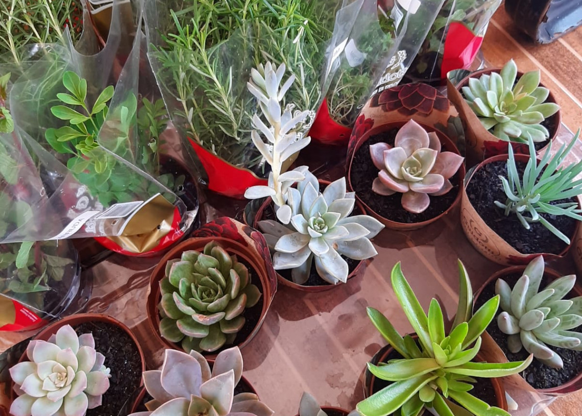 feira do verde ee