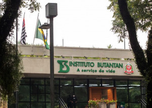 instituto-butantan-detecta-36-variantes-do-coronavirus-em-circulacao-no-estado-de-sao-paulo-correio-nogueirense