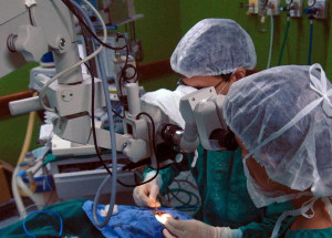 tranplantes_vale_esta