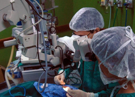 tranplantes_vale_esta