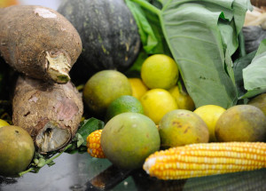 960399-20052015-_tng1894