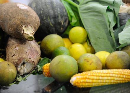 960399-20052015-_tng1894