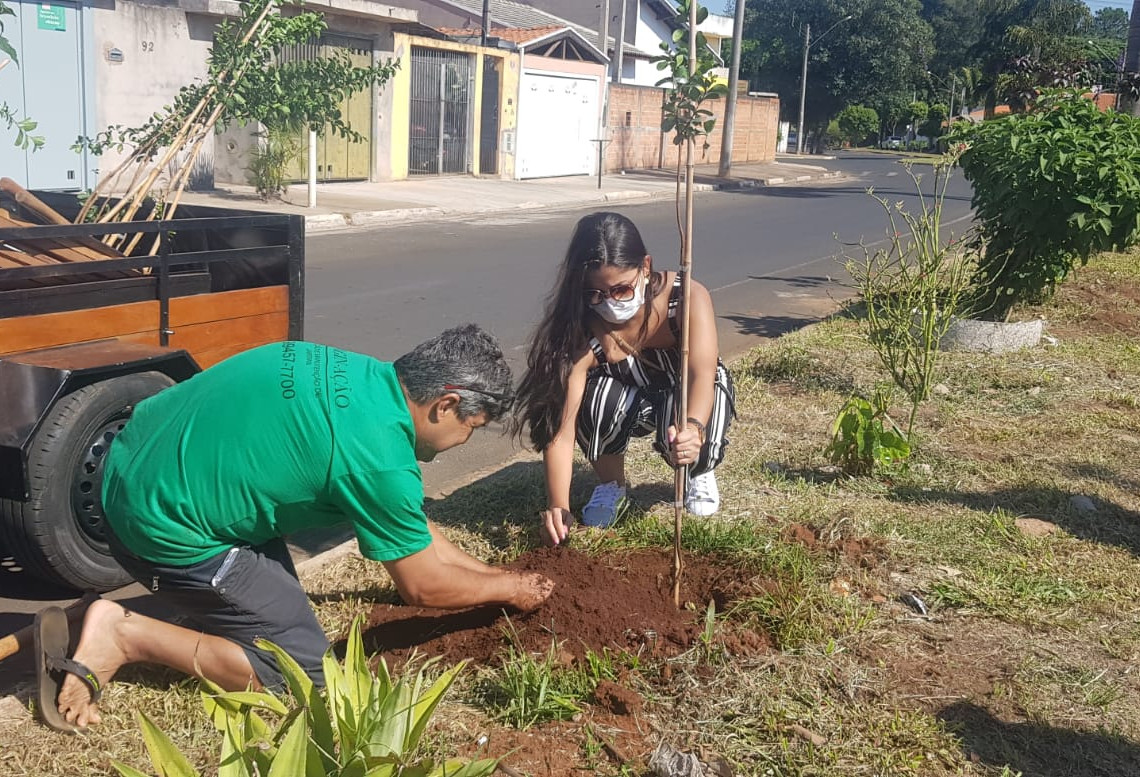 PLANTIOCOMUNITARIO2