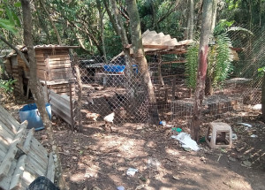 WhatsApp Image 2021-10-08 at 11.33.57