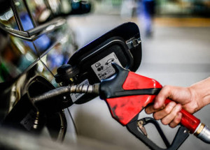 WhatsApp Image 2021-10-20 at 07.48.05