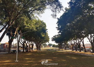 covid-19-medo-de-contagio-e-perda-de-convivio-podem-gerar-ansiedade-correio-nogueirense