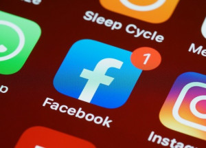 pexels-brett-jordan-5426402