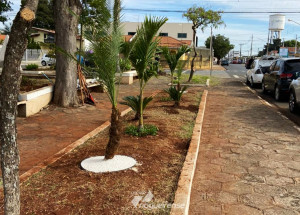 prefeitura-abre-inscricoes-para-nova-turma-de-jardinagem-em-artur-nogueira-correio-nogueirense