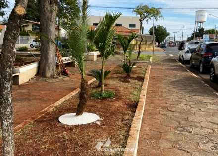 prefeitura-abre-inscricoes-para-nova-turma-de-jardinagem-em-artur-nogueira-correio-nogueirense