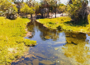 whatsapp_image_2021-10-05_at_17.12.33