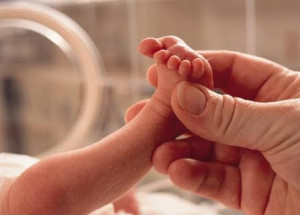 WhatsApp Image 2021-11-17 at 07.49.53