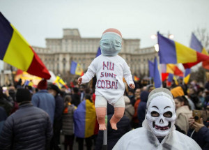 WhatsApp Image 2021-11-21 at 08.35.07