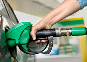 WhatsApp Image 2021-11-23 at 13.08.33