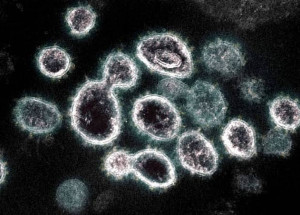 WhatsApp Image 2021-11-28 at 17.43.54