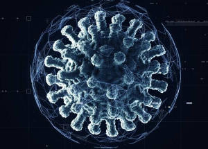 WhatsApp Image 2021-11-30 at 13.15.06